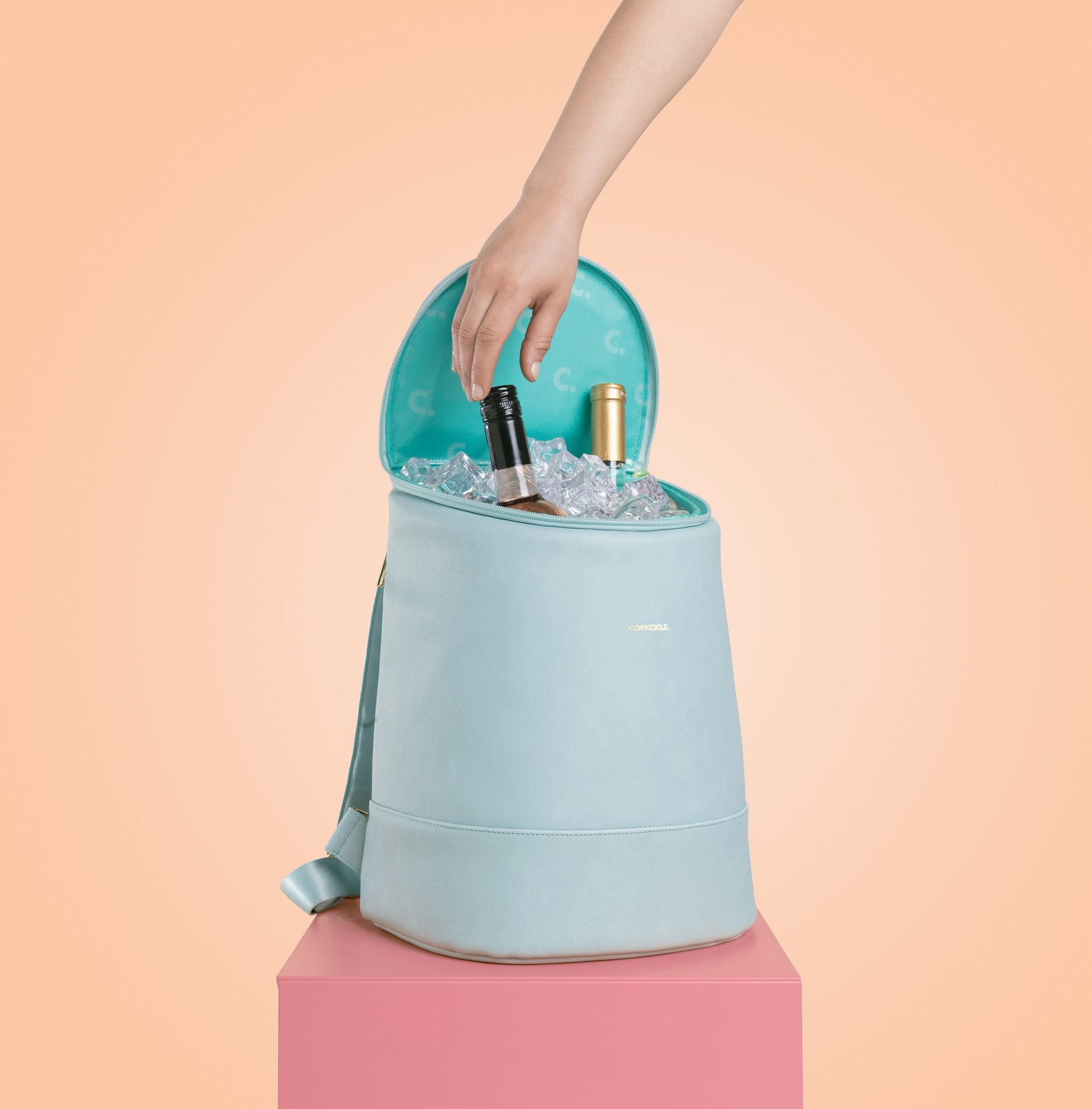 eola-bucket-cooler-bag-u6 a405954e83cf--EOLA-Bucket-copy.jpg
