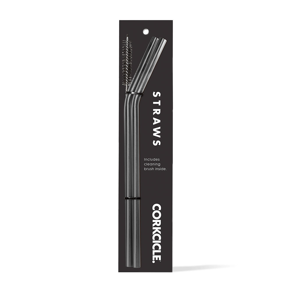 tumbler-straw-2-pack-h8 gunmetal.png